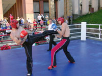 Otwarty Puchar Polski w Kickboxingu w Krynicy