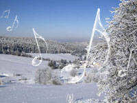 Muzyka w Zimowym SPA