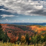 zdjęcia Krynica - Bochenek