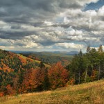 zdjęcia Krynica - Bochenek